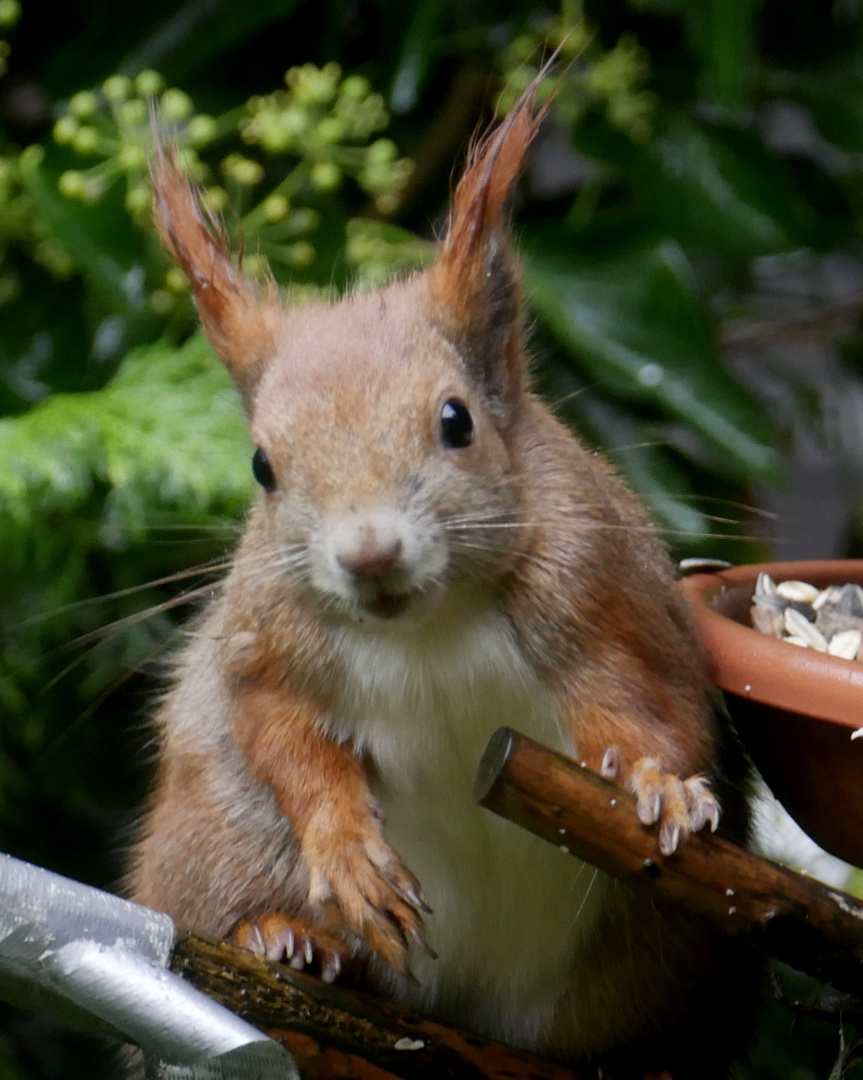 Was guckst du ?