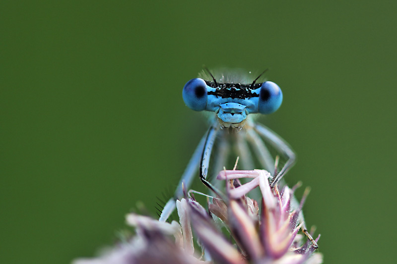 was guckst du ???