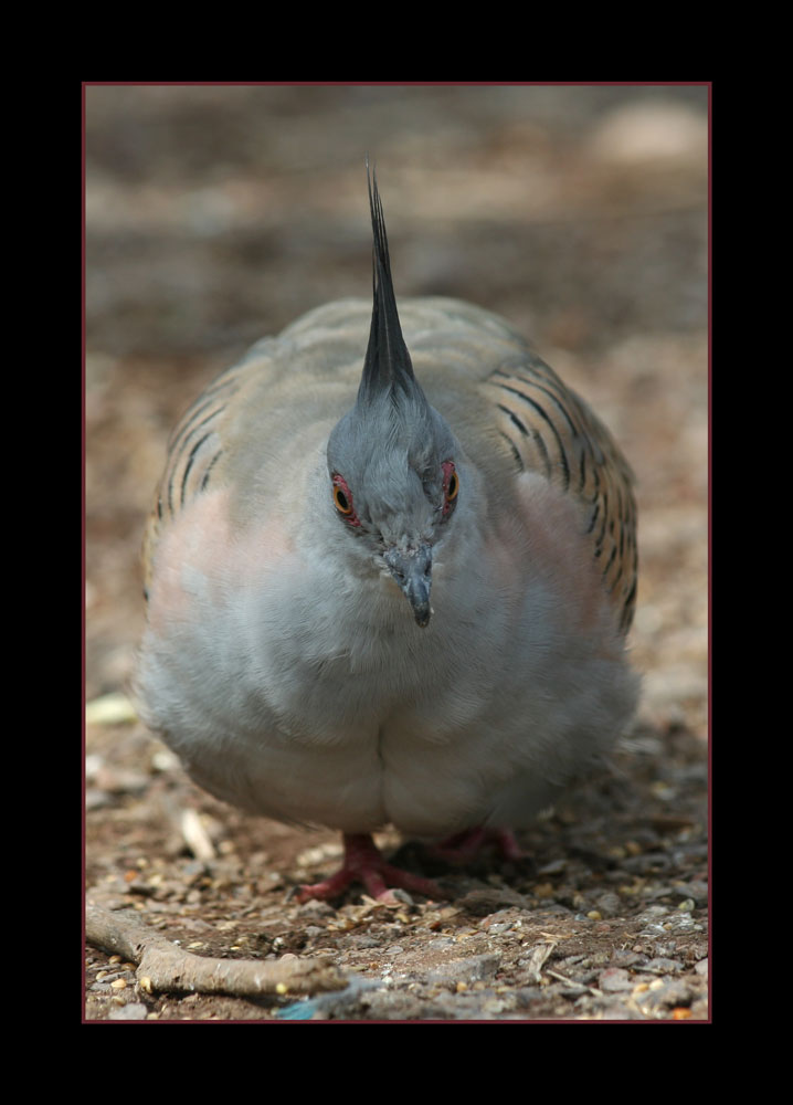 Was guckst Du?