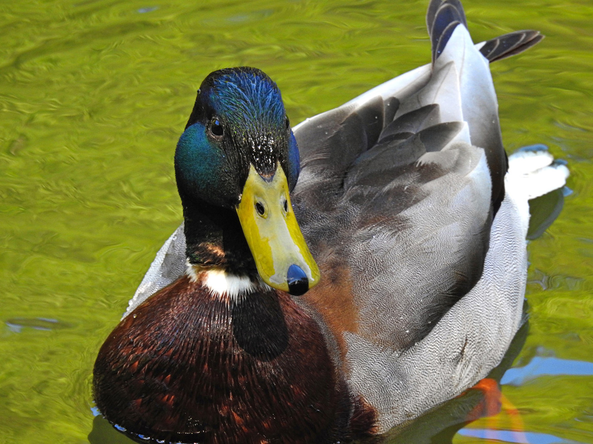 Was guckst du?