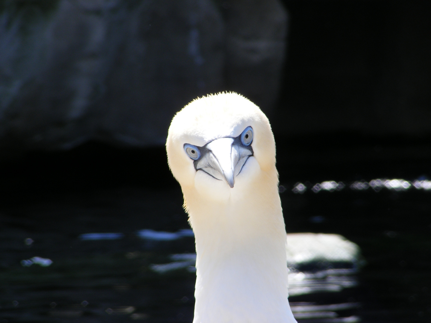 Was guckst Du?