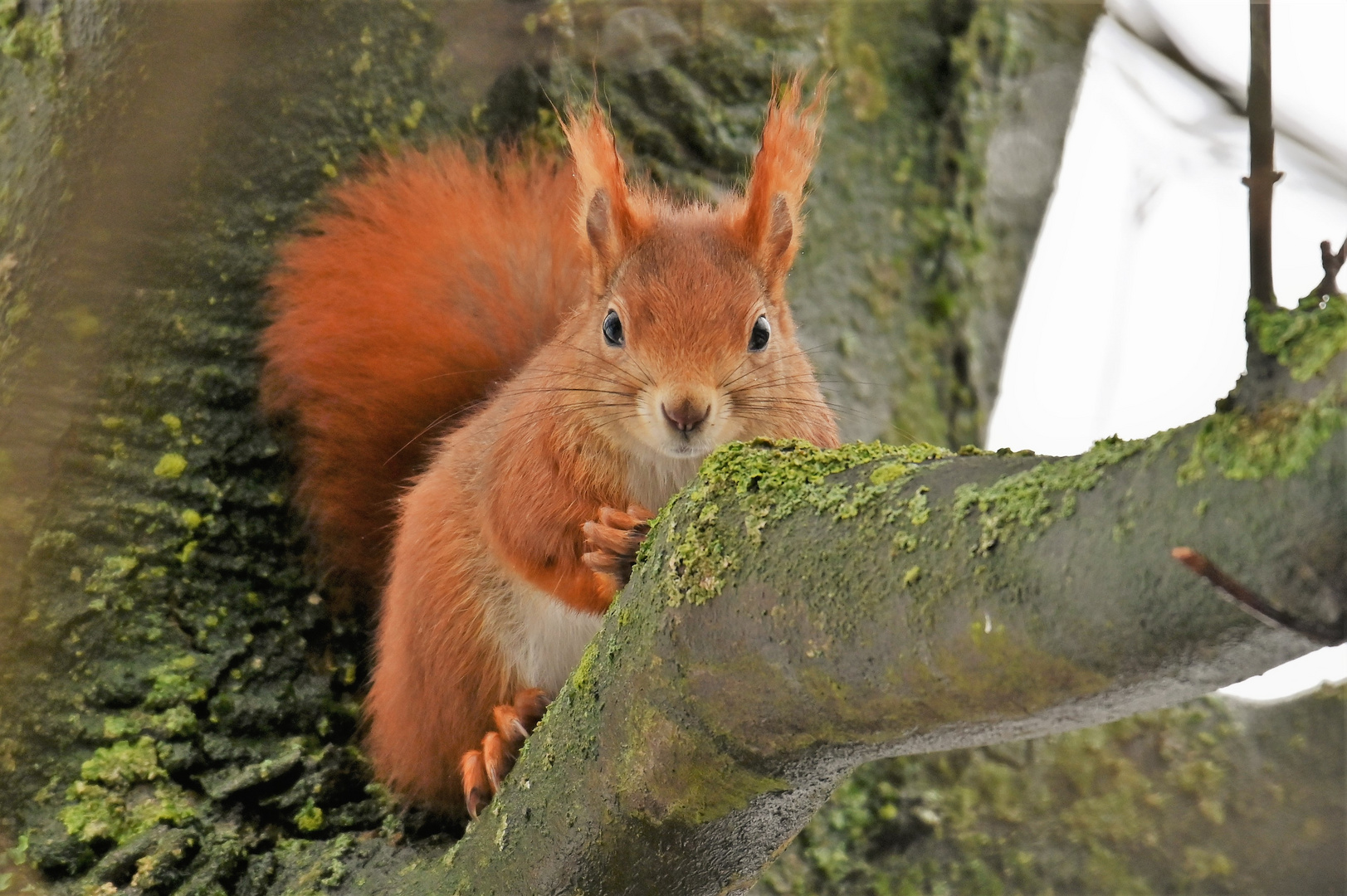 Was guckst Du?