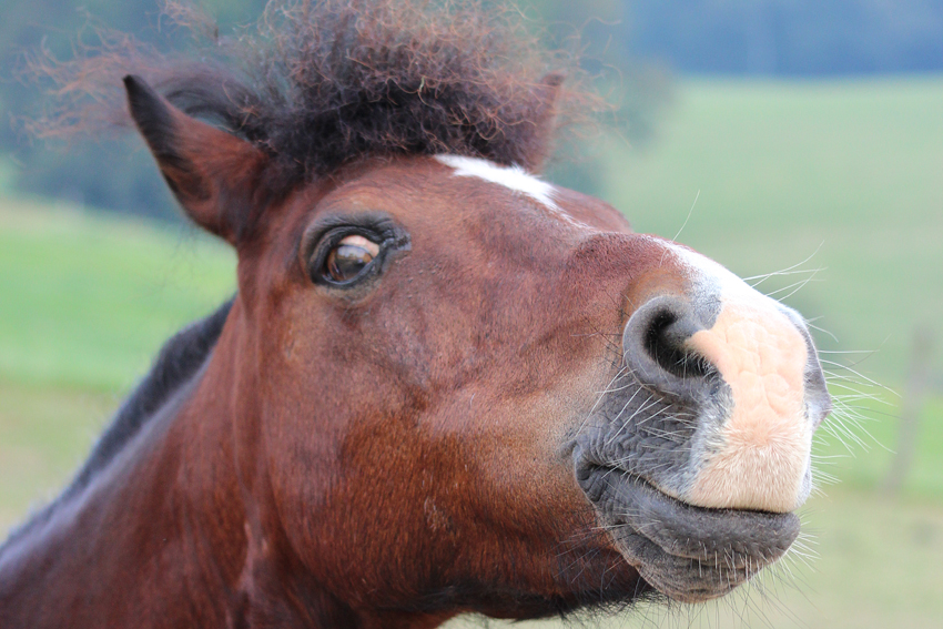 "Was guckst Du???"