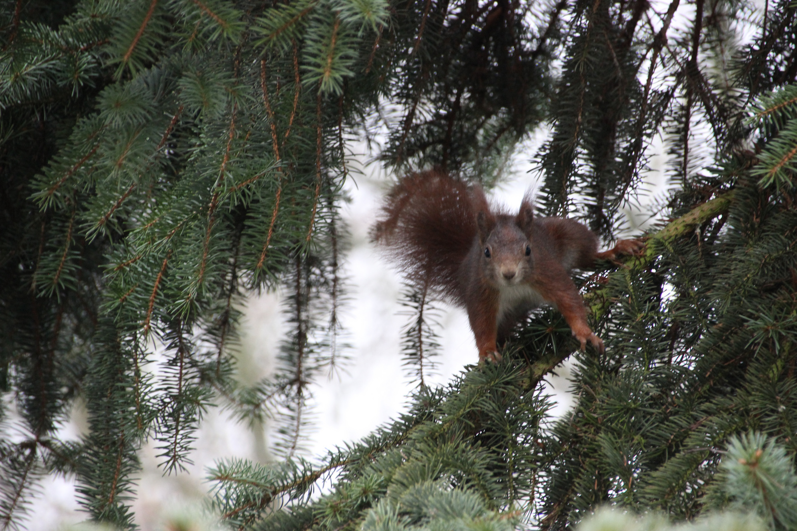 Was guckst Du?