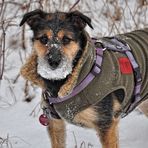 Was guckst du...., haste noch nie einen Eisbären gesehen..... !