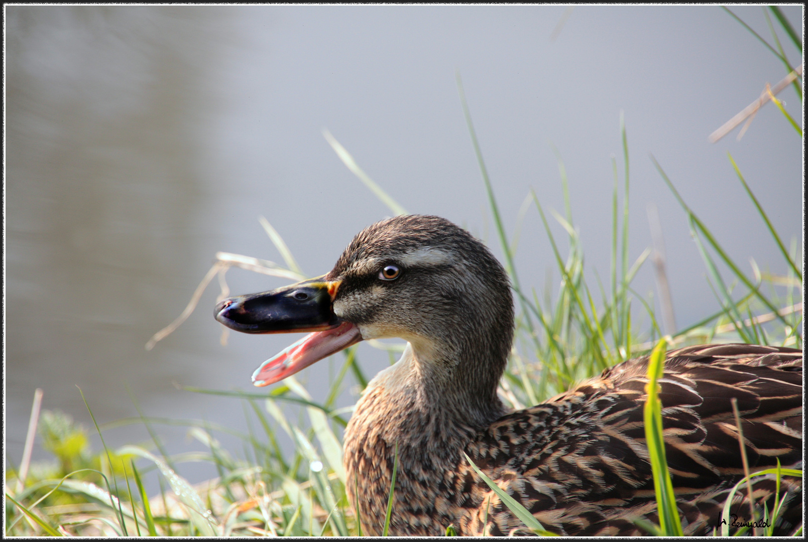 Was guckst du schon wieder ;o)))