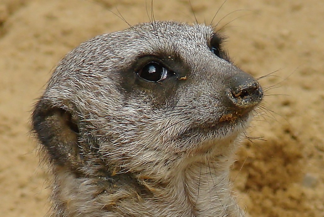 Was guckst Du.......... Schreib lieber ne Anmerkung