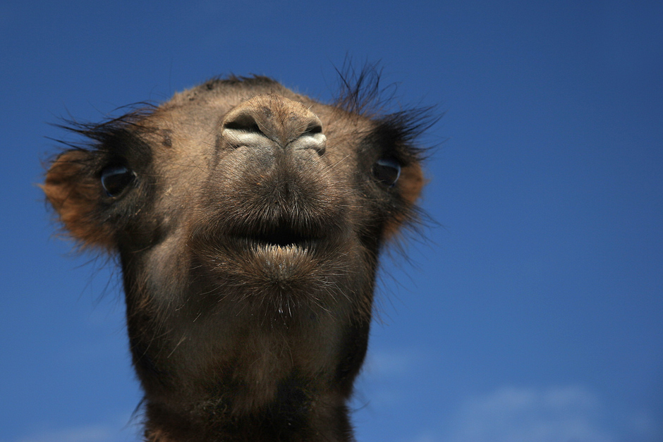 Was guckst Du ? Sind Deine Augen auch unscharf ?