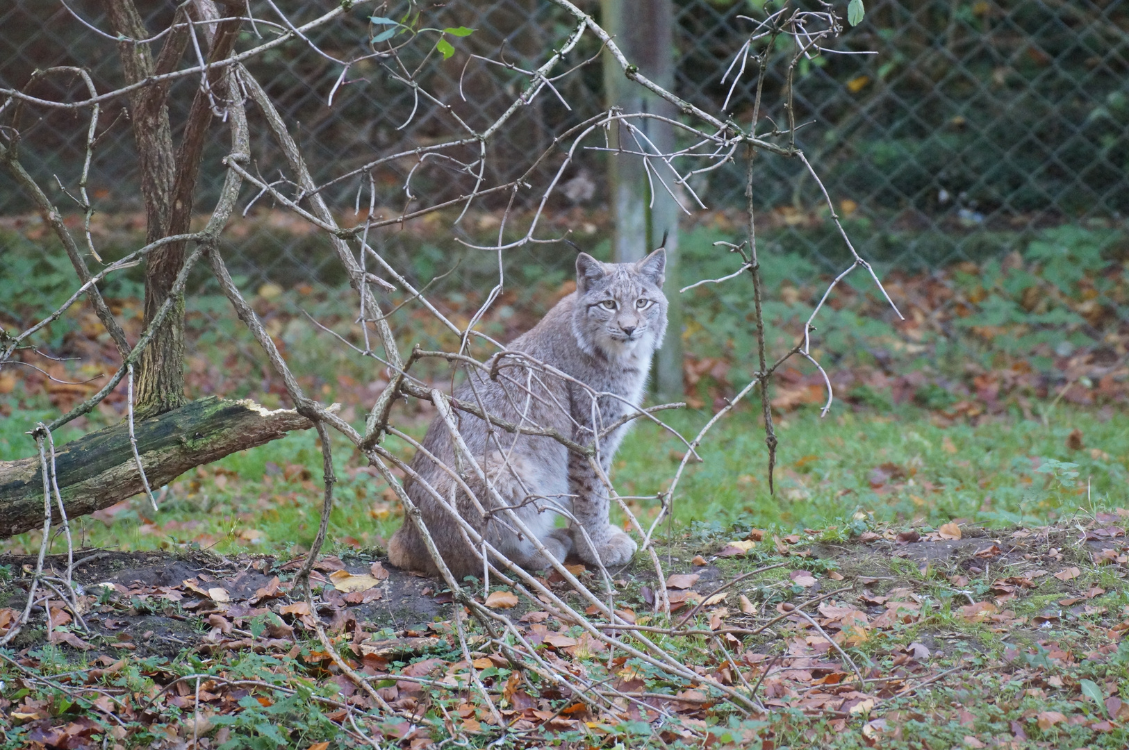 Was guckst Du ? Teil 2