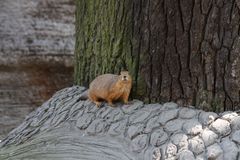 was guckst ´n so - ja es regnet Ende Mai - na und?