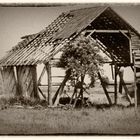 Was hält sie noch zusammen ...