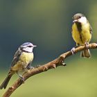 Was hältst du von diesem Sommer ?