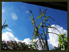 was hängendes und was stehendes auf qrt’s schrägem Balkon ;-)