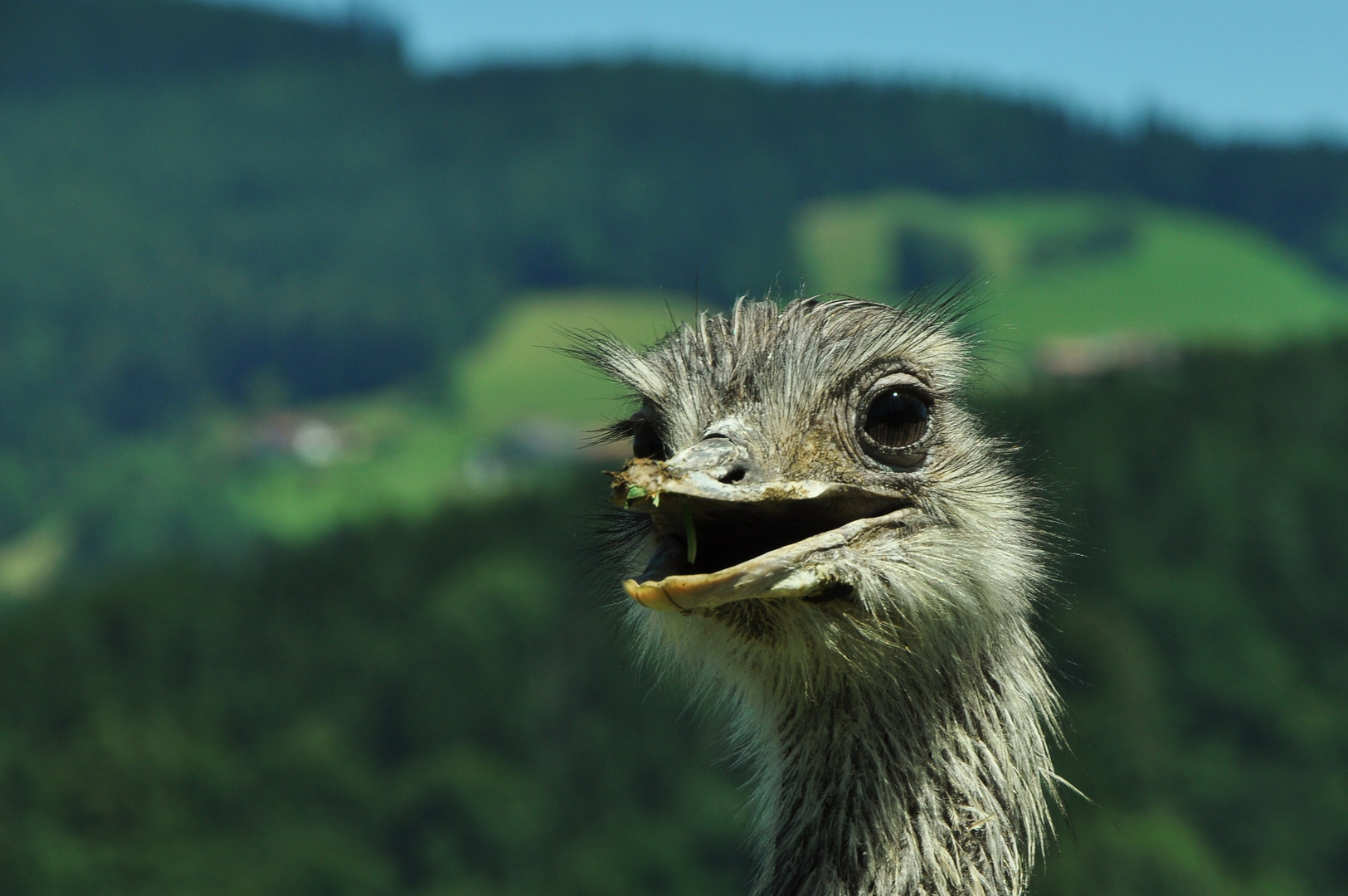 Was heißt hier Landschaftsfoto?