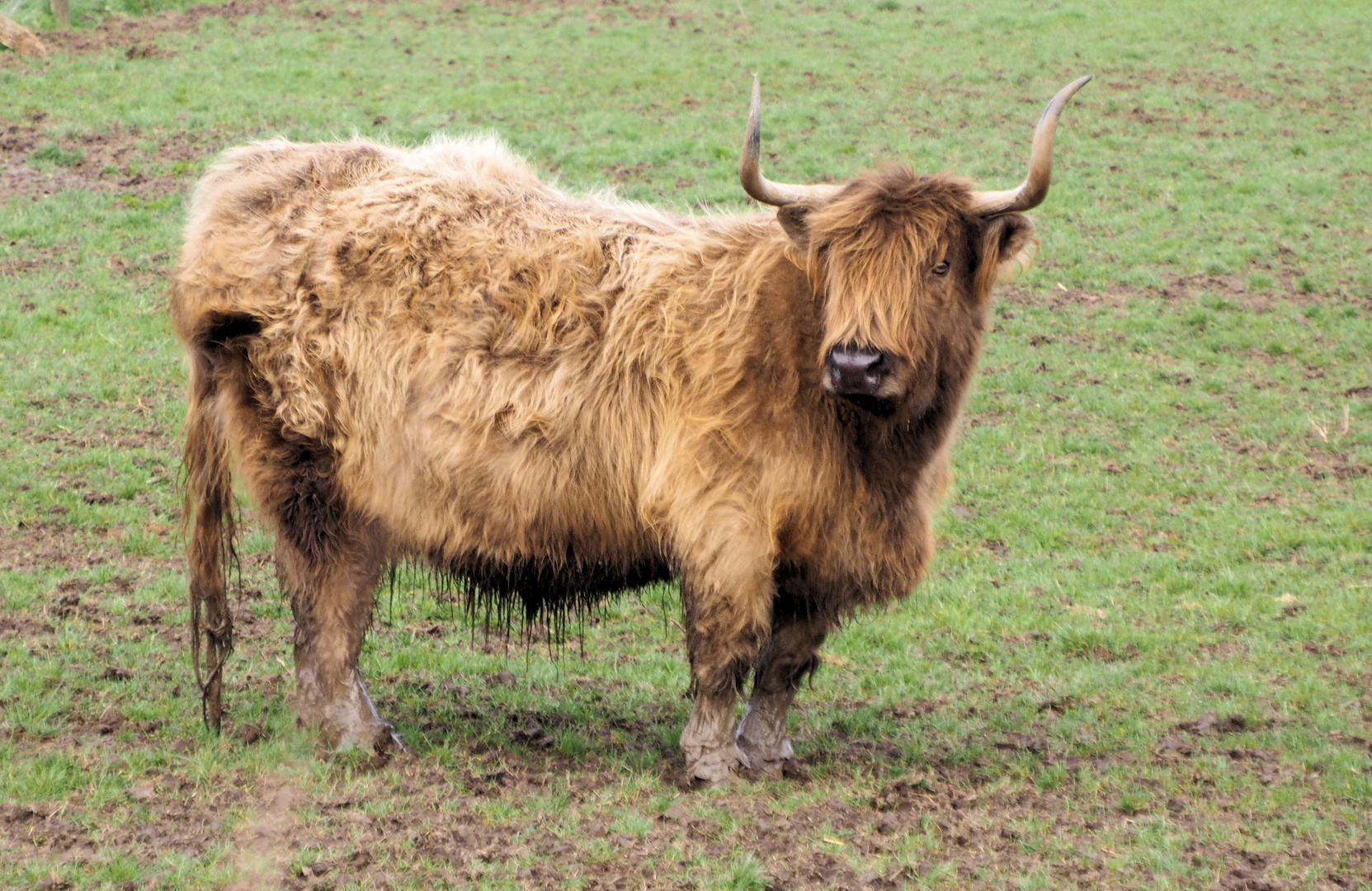 Schmutzige Bilder Schmutzige Bilder
