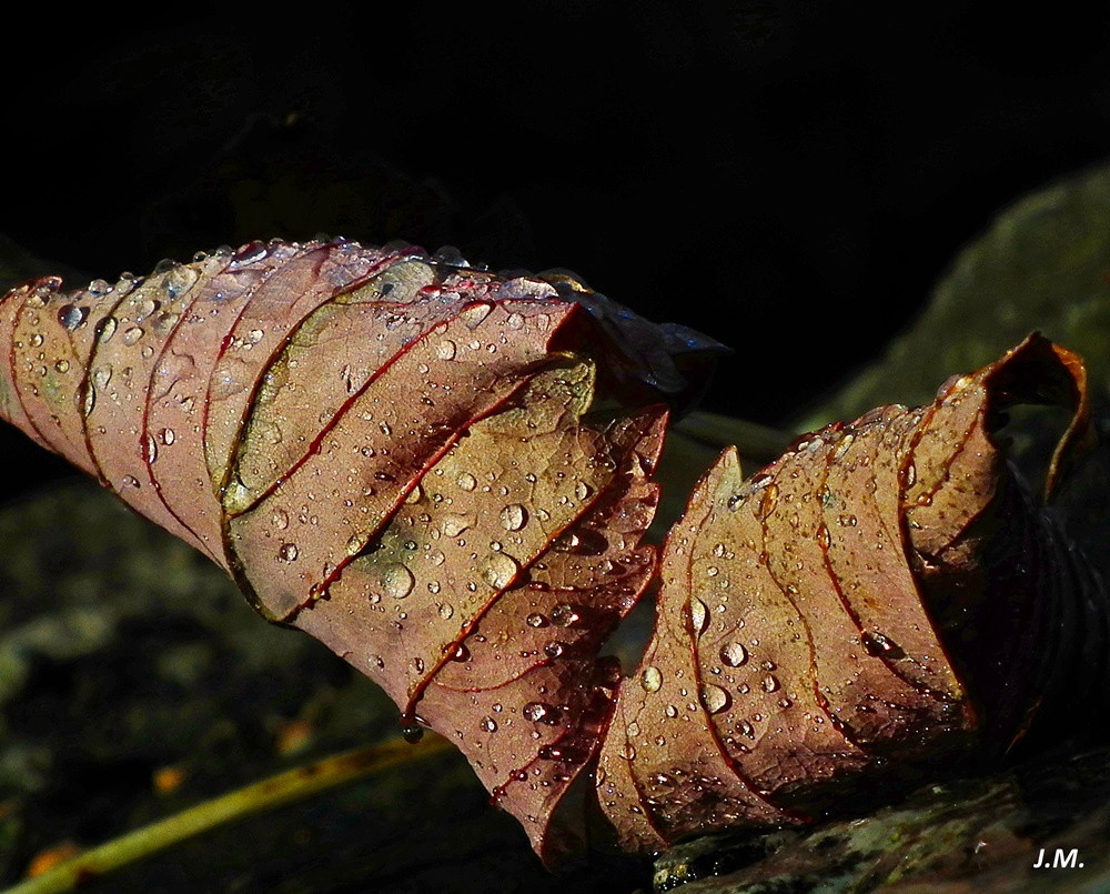 Was Herbstliches