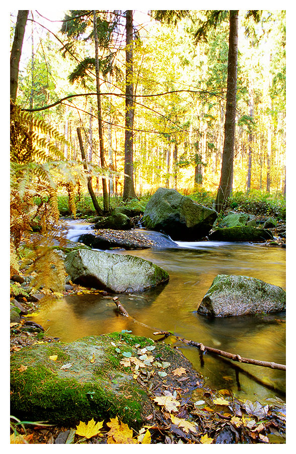 Was herbstliches aus 2006