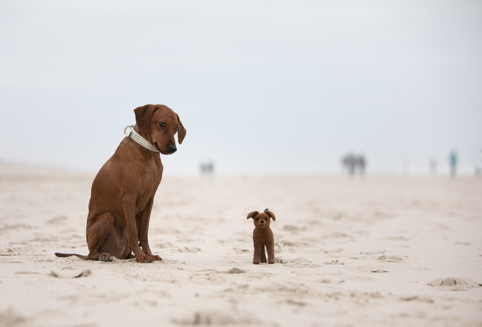 Was hier am Strand so alles rumsteht...