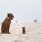 Was hier am Strand so alles rumsteht...