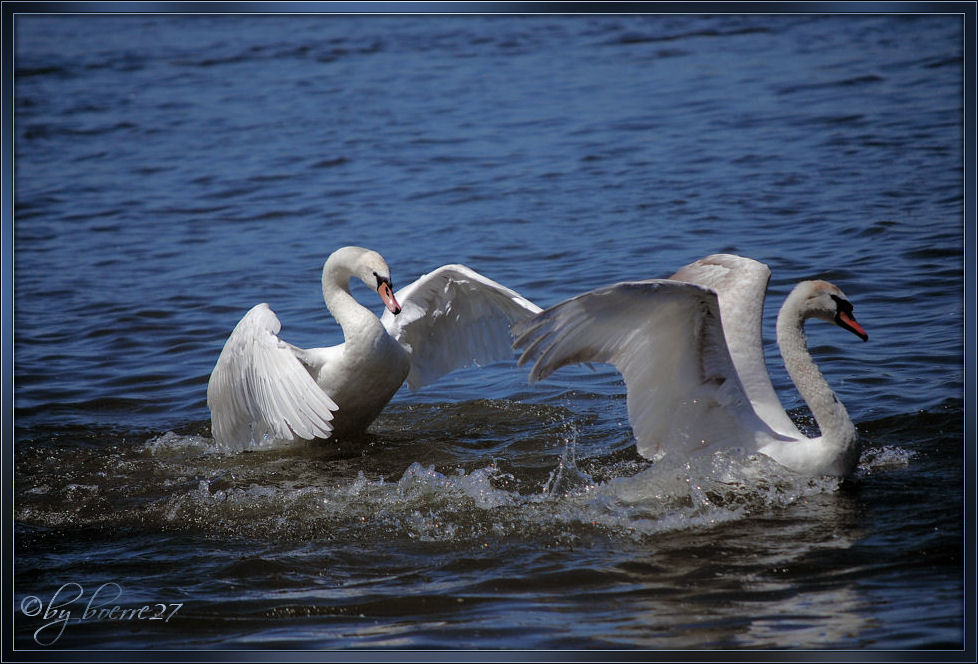 Was hier so harmonisch aussieht,.........