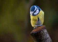 "Was ... ich komm nicht in den Kalender? Dann bin ich beleidigt"