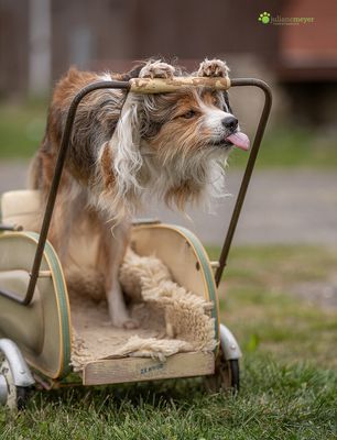 Was ich schon immer mal sagen wollte