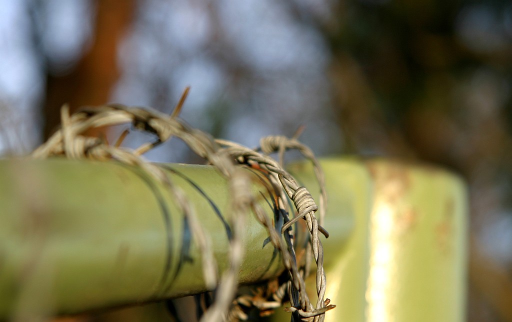 Was im Wald so alles rumsteht...