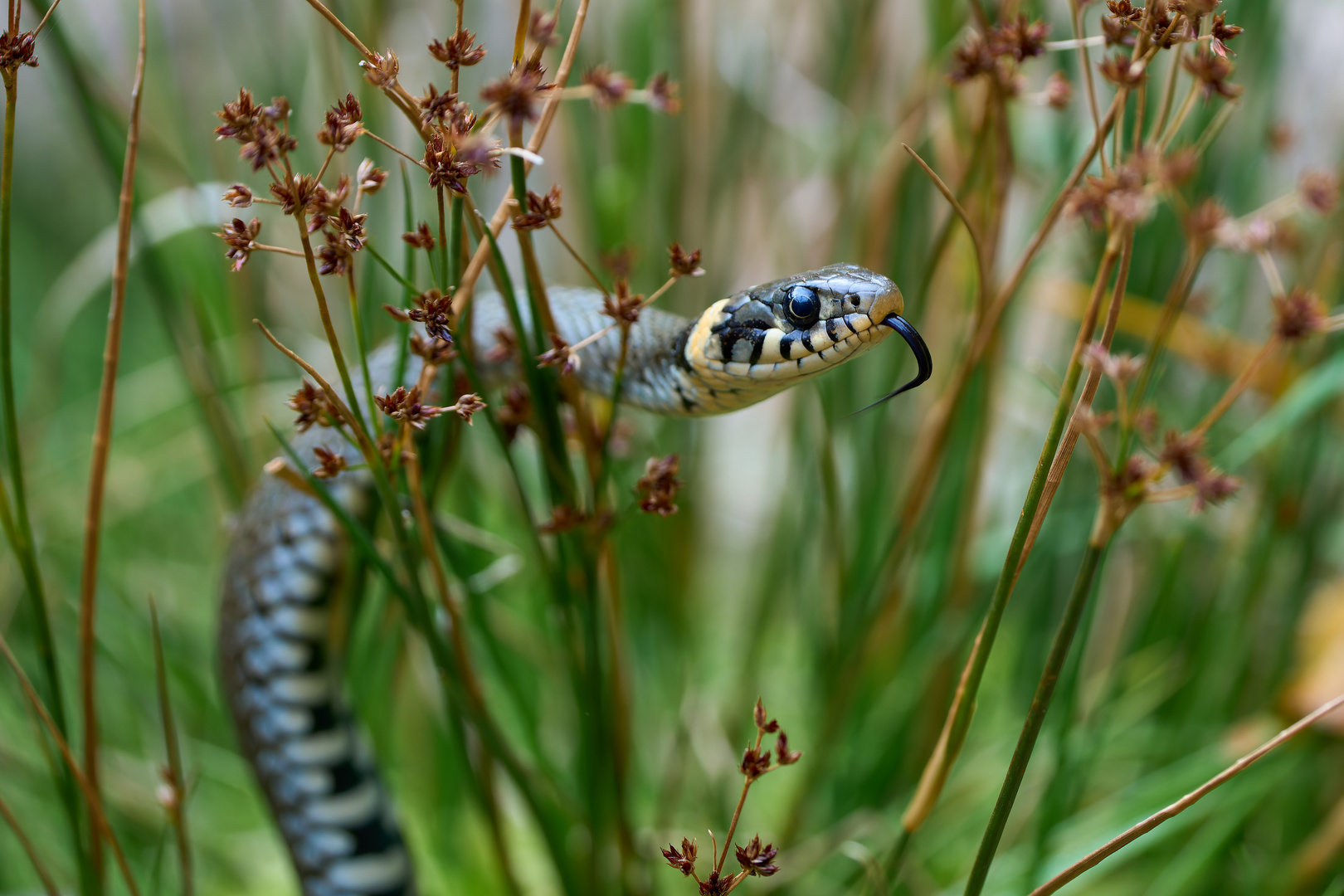 Was ist da los? Foto & Bild deutschland, europe, bayern Bilder auf