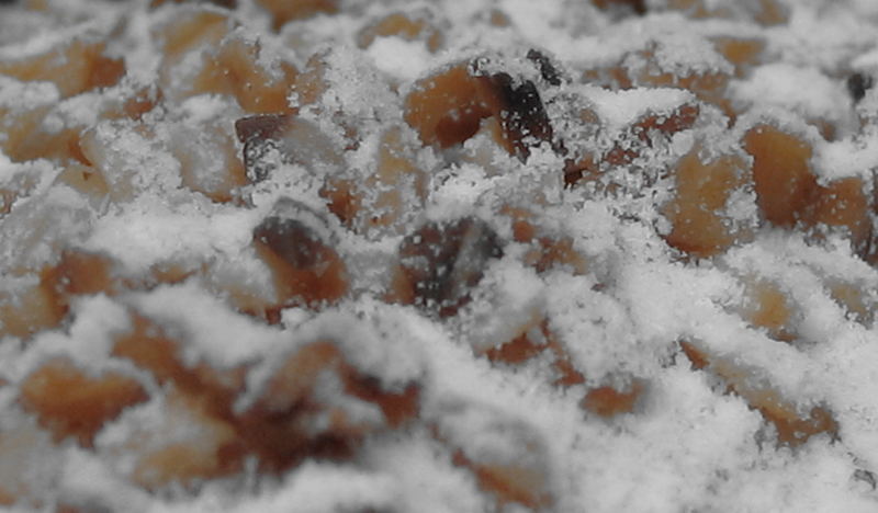 was ist das? *erraten* Foto & Bild | quatsch, fun und rätselecke