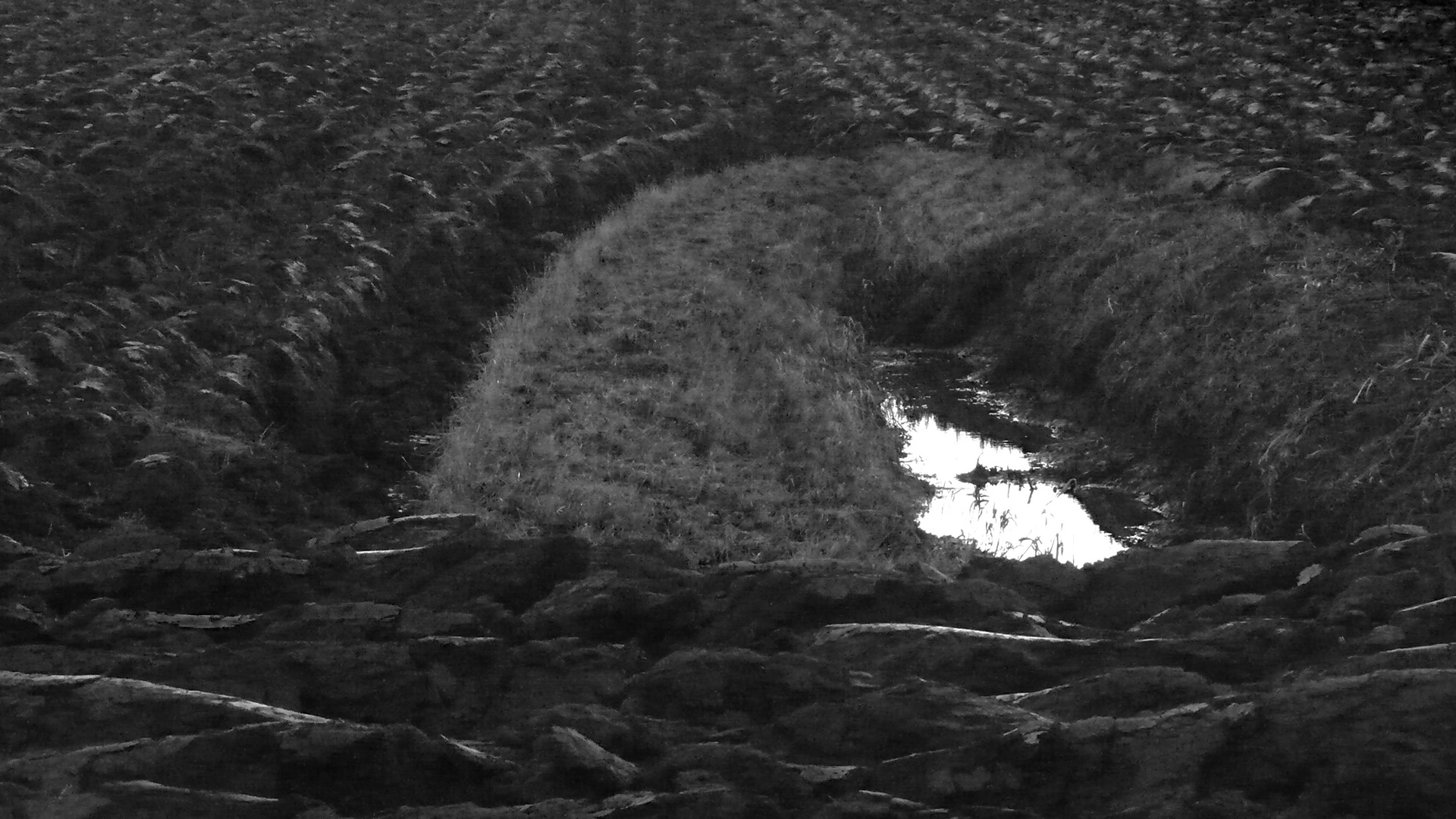 was ist das? Foto & Bild quatsch, fun und rätselecke, landschaften, wasser Bilder auf