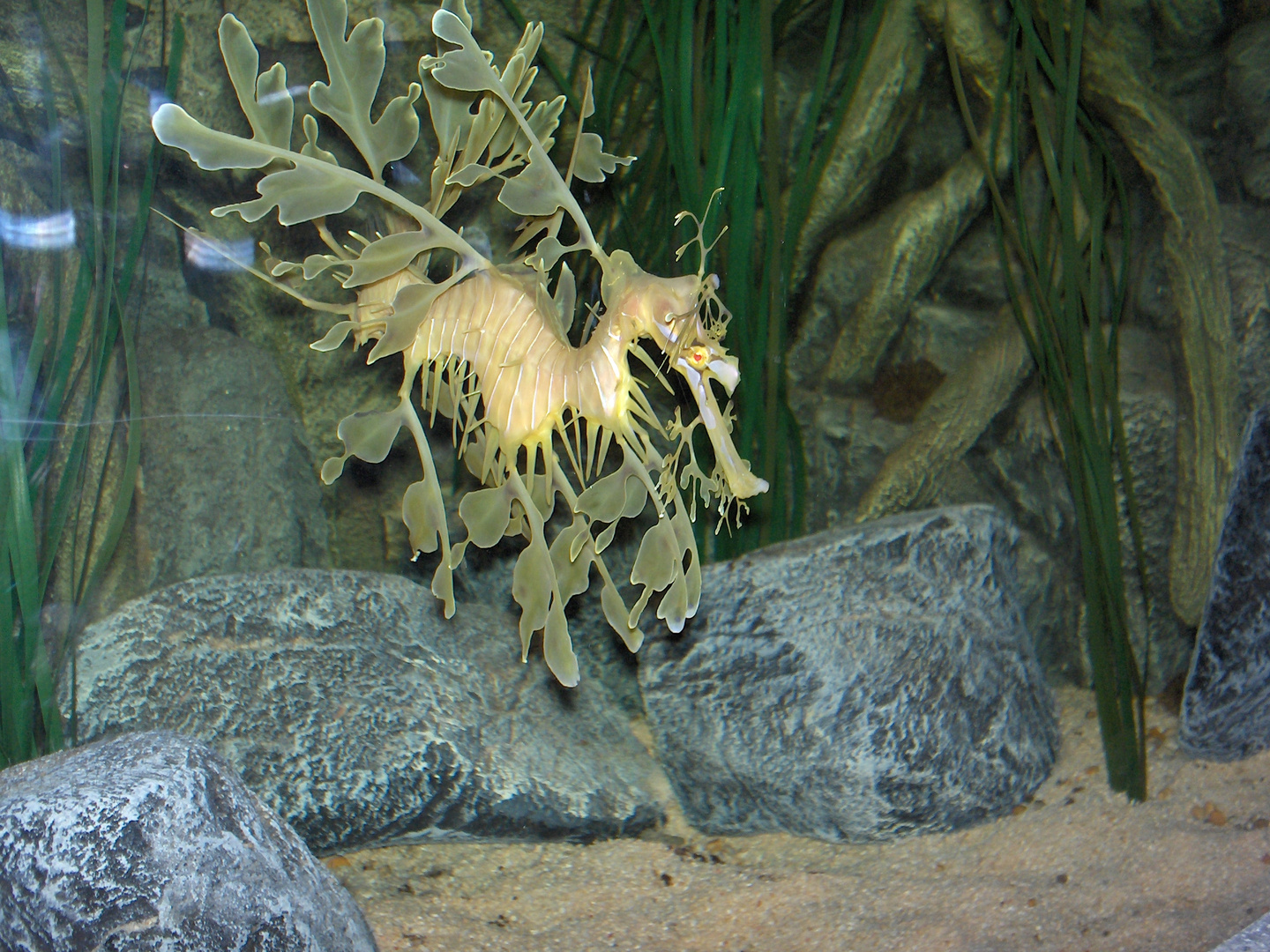 Was ist das für ein Tier? Foto & Bild *user bis 12. jahre, youth Bilder auf