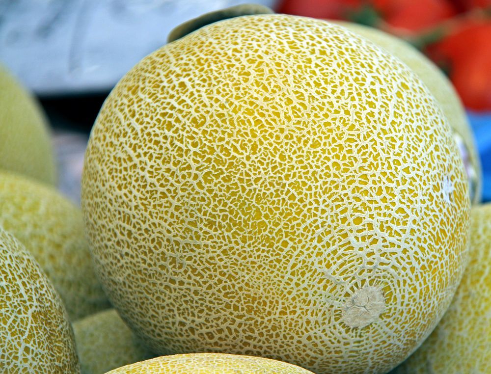 Was ist das für eine Frucht auf dem Ulmer Wochenmarkt ??? Foto & Bild deutschland, europe