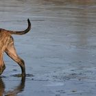 Was ist das kalte auf dem Wasser?