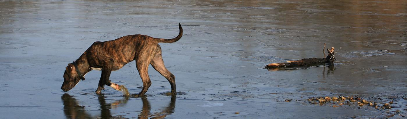 Was ist das kalte auf dem Wasser?