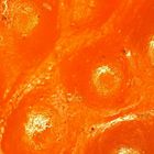 Was ist das? #schon gelöst: Mandarine#