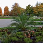 Was ist das wichtigste für so eine Aufnahme in Schloss Pillnitz ?...