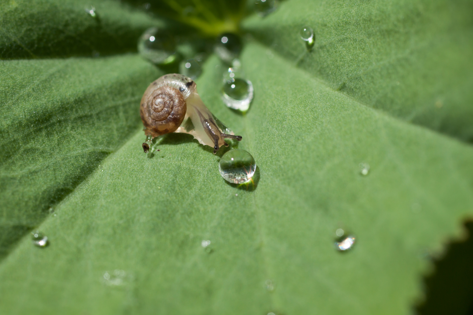was ist denn das? Foto &