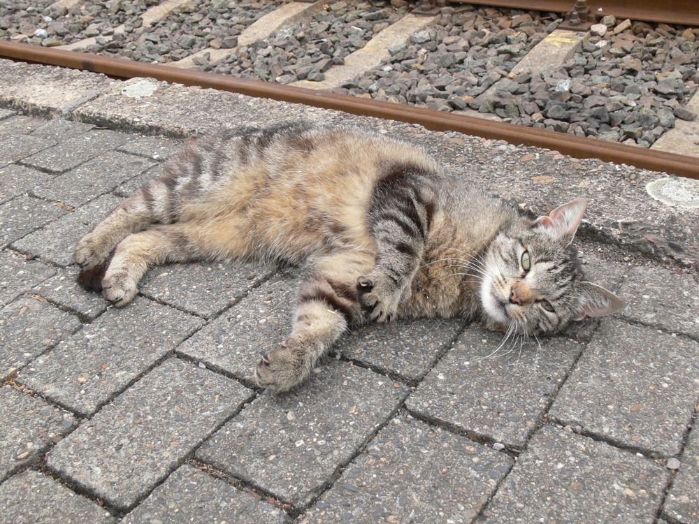 Was ist denn das für ein glänzendes schwarzes Ding?