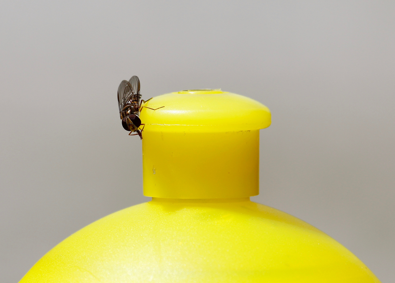 Was ist denn das für eine Flasche!