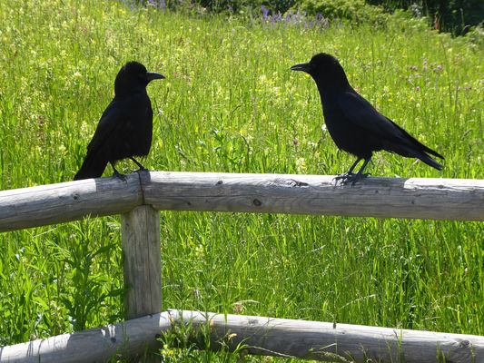 Was ist dir noch sagen wollte....