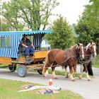 Was ist ein Cowboy ohne Pferd?