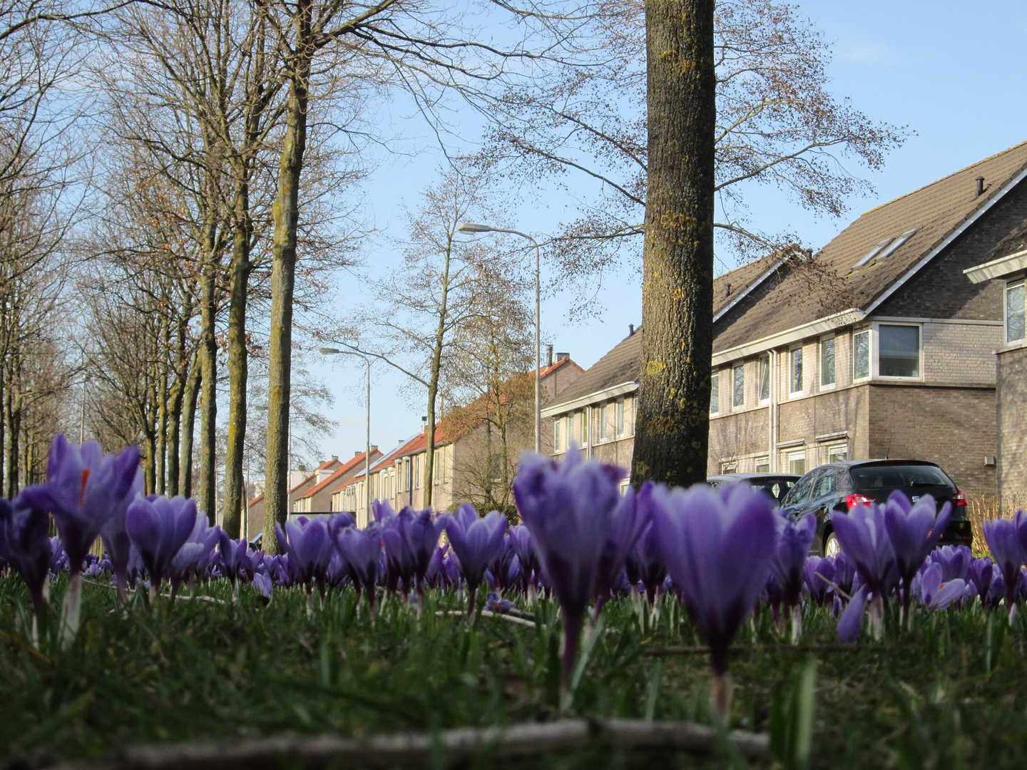 Was ist es eigentlich Frühling-Sommer oder schon wieder Herbst....