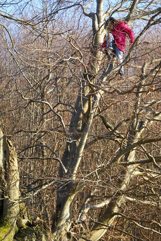 Was ist es? Sitzt auf dem Baum ...