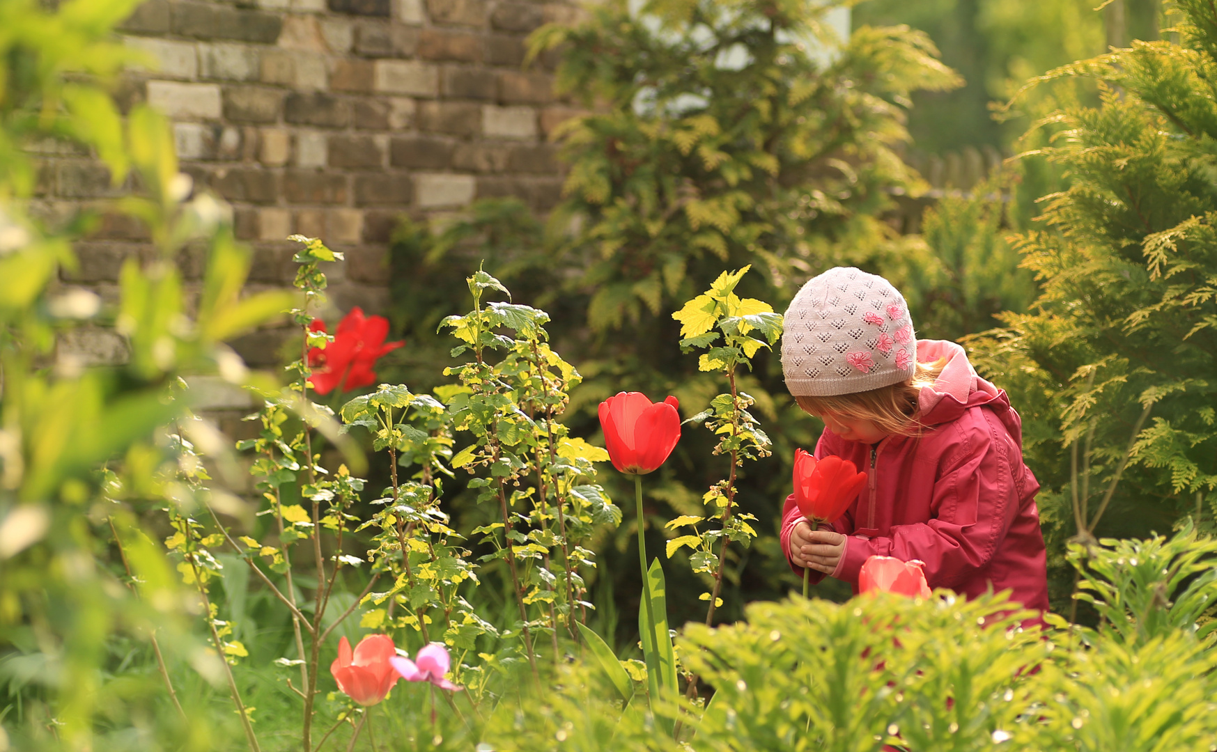 Was ist in der Tulpe?