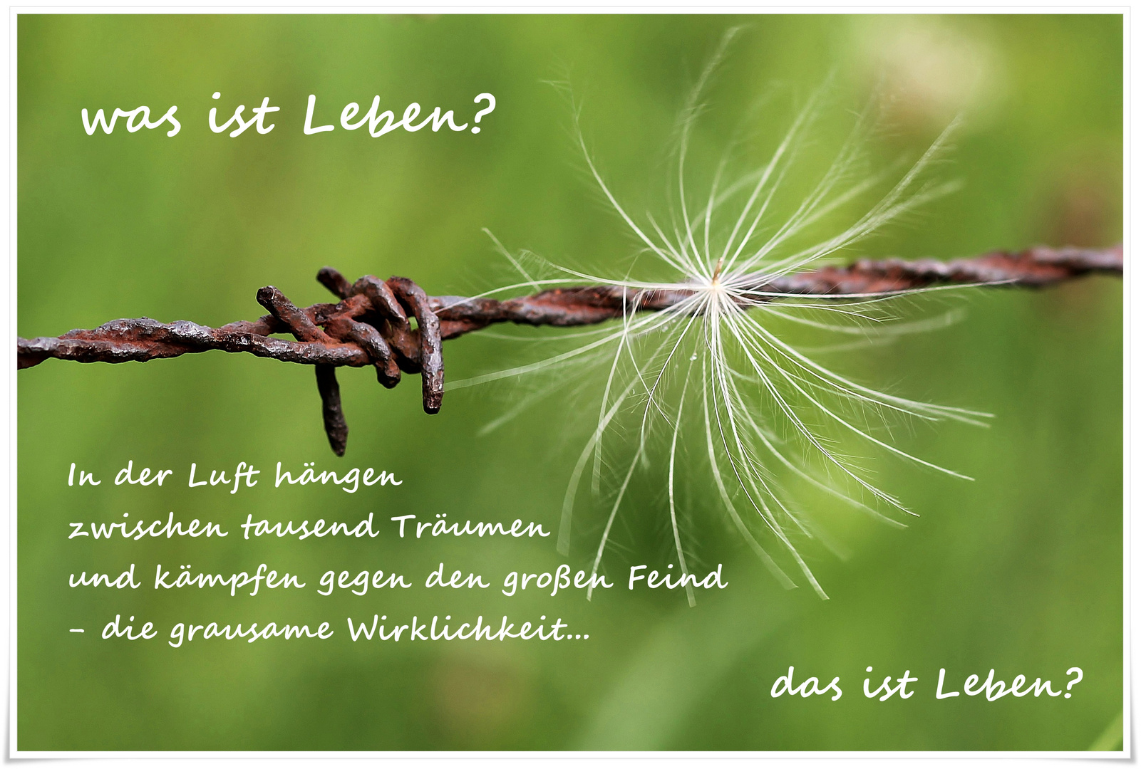 Was ist Leben?