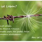 Was ist Leben?