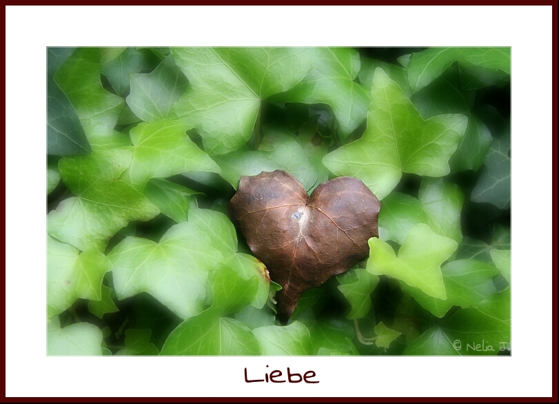 Was ist Liebe?