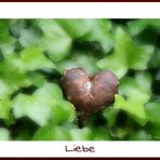 Was ist Liebe?