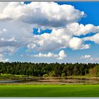 Was ist natürlicher--Rügener Hinterland