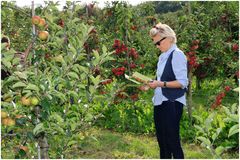 Was ist wohl der beste Apfel?